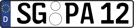 SG-PA12