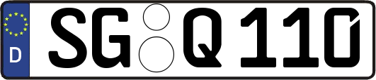 SG-Q110