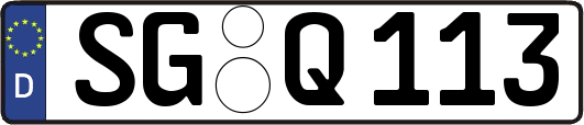 SG-Q113