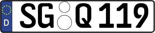 SG-Q119