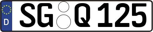 SG-Q125