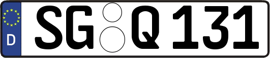SG-Q131