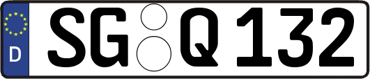 SG-Q132