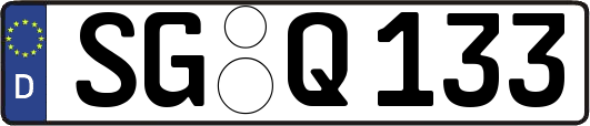 SG-Q133