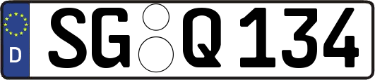 SG-Q134