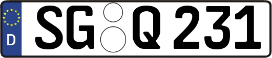 SG-Q231