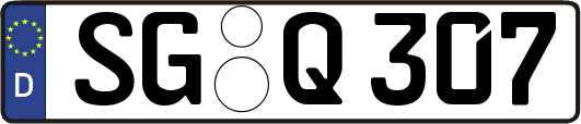 SG-Q307