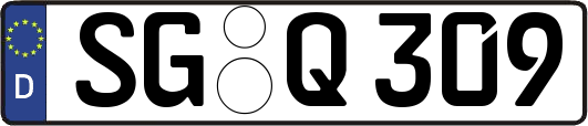 SG-Q309