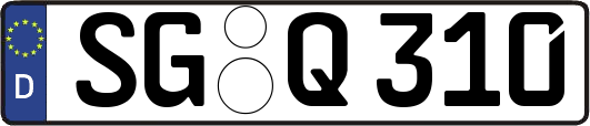 SG-Q310