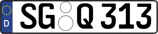 SG-Q313