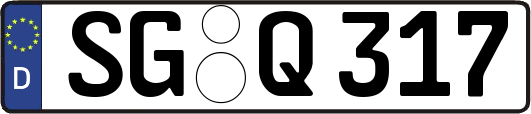 SG-Q317