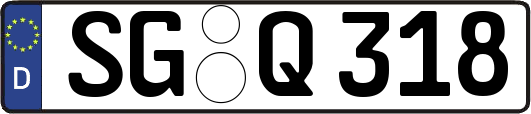 SG-Q318