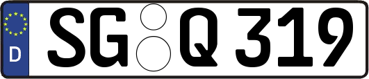 SG-Q319