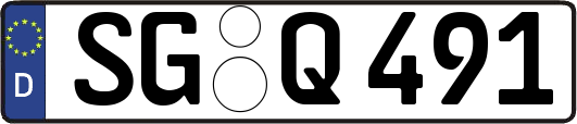 SG-Q491