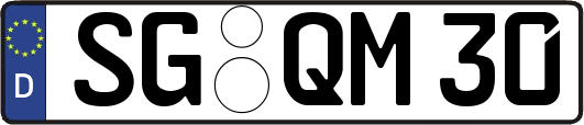 SG-QM30