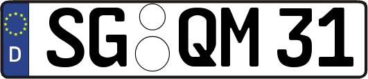 SG-QM31
