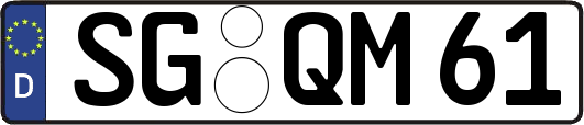SG-QM61