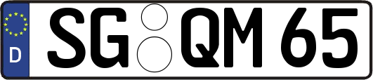 SG-QM65