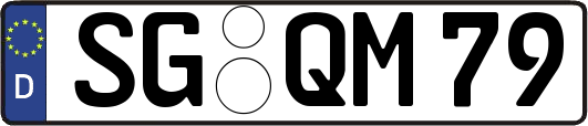 SG-QM79