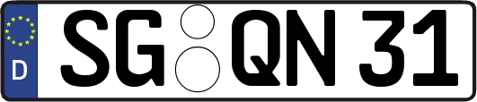 SG-QN31