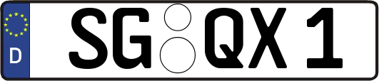 SG-QX1