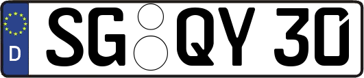SG-QY30