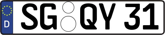 SG-QY31