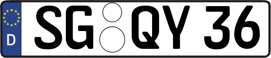 SG-QY36