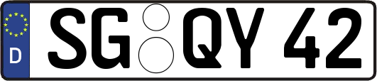 SG-QY42