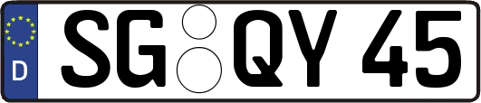 SG-QY45