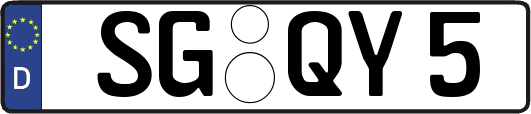SG-QY5