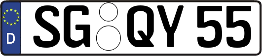 SG-QY55