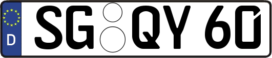 SG-QY60
