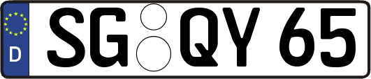 SG-QY65