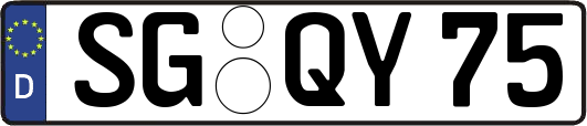 SG-QY75