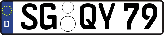 SG-QY79