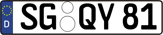 SG-QY81