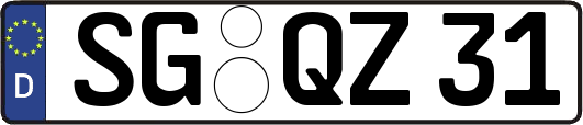 SG-QZ31
