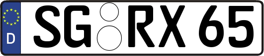 SG-RX65