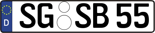 SG-SB55