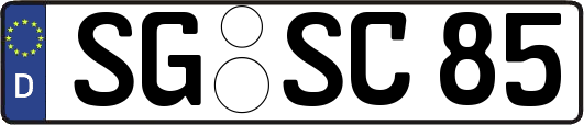 SG-SC85