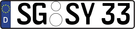 SG-SY33