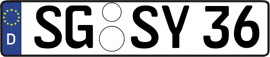 SG-SY36