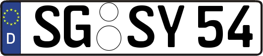 SG-SY54