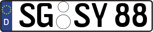 SG-SY88