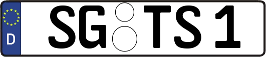 SG-TS1