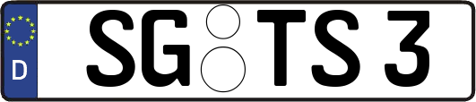 SG-TS3