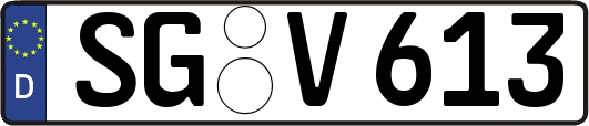 SG-V613