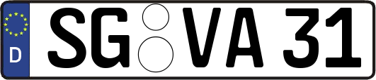 SG-VA31