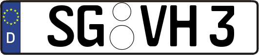 SG-VH3